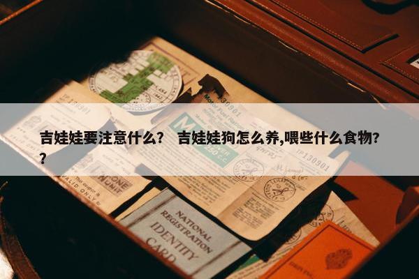 吉娃娃要注意什么？ 吉娃娃狗怎么养,喂些什么食物?？