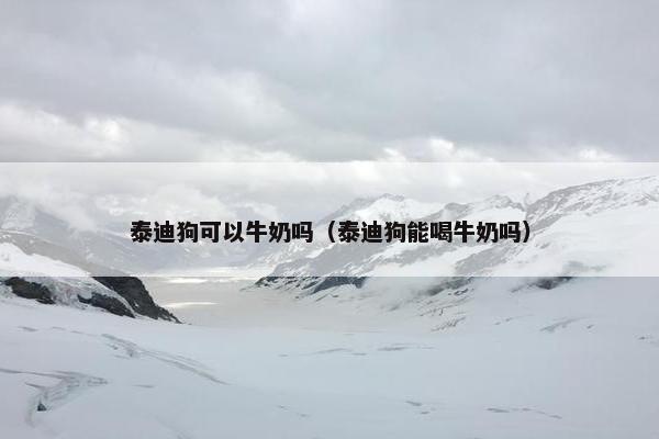 泰迪狗可以牛奶吗（泰迪狗能喝牛奶吗）