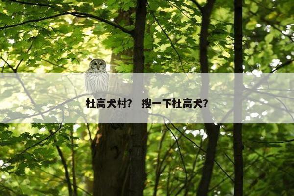 杜高犬村？ 搜一下杜高犬？