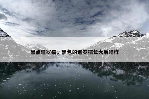 黑点暹罗猫，黑色的暹罗猫长大后啥样