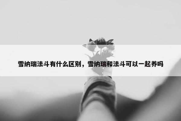 雪纳瑞法斗有什么区别，雪纳瑞和法斗可以一起养吗