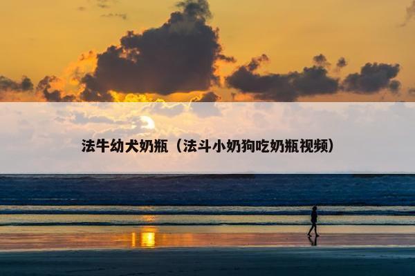 法牛幼犬奶瓶（法斗小奶狗吃奶瓶视频）