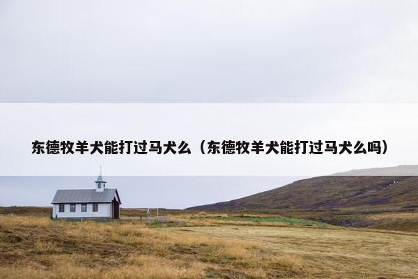 东德牧羊犬能打过马犬么（东德牧羊犬能打过马犬么吗）