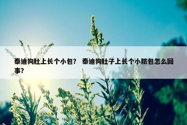 泰迪狗肚上长个小包？ 泰迪狗肚子上长个小脓包怎么回事？