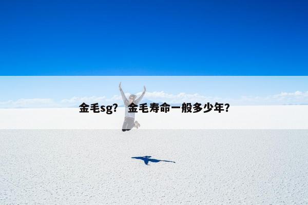 金毛sg？ 金毛寿命一般多少年？