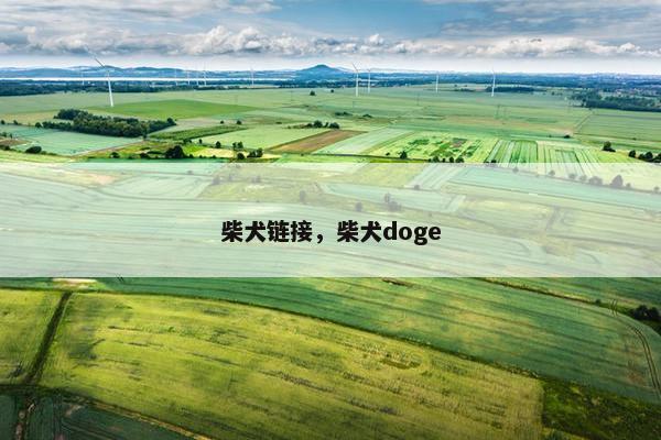 柴犬链接，柴犬doge
