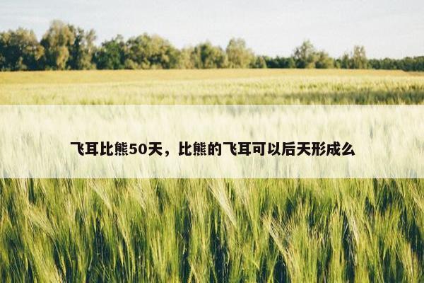 飞耳比熊50天，比熊的飞耳可以后天形成么