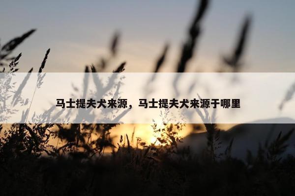 马士提夫犬来源，马士提夫犬来源于哪里