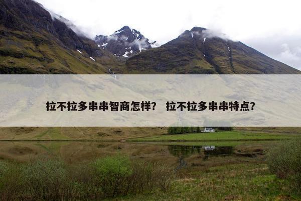 拉不拉多串串智商怎样？ 拉不拉多串串特点？
