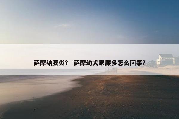 萨摩结膜炎？ 萨摩幼犬眼屎多怎么回事？