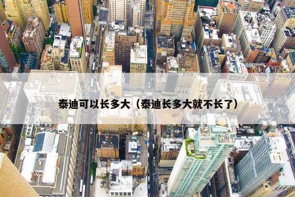 泰迪可以长多大（泰迪长多大就不长了）