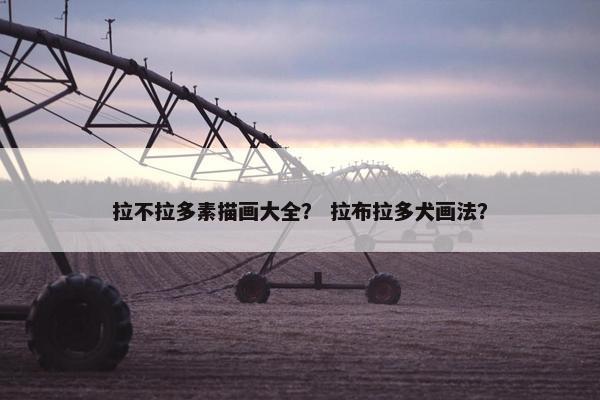 拉不拉多素描画大全？ 拉布拉多犬画法？