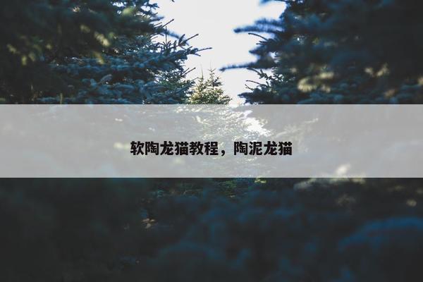 软陶龙猫教程，陶泥龙猫