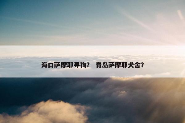 海口萨摩耶寻狗？ 青岛萨摩耶犬舍？