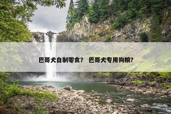 巴哥犬自制零食？ 巴哥犬专用狗粮？
