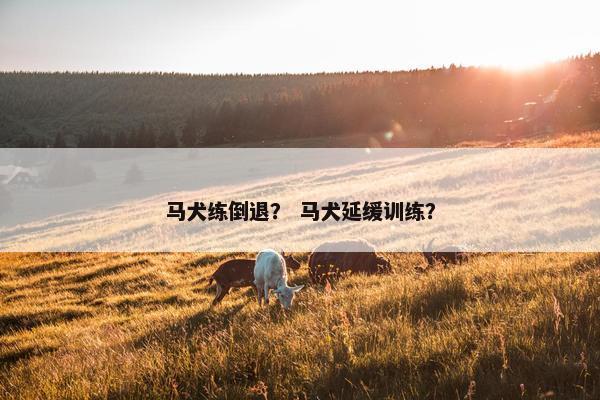 马犬练倒退？ 马犬延缓训练？