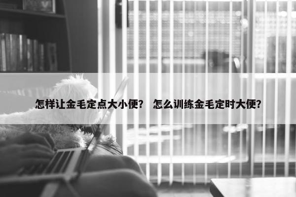 怎样让金毛定点大小便？ 怎么训练金毛定时大便？