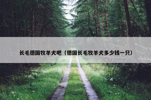 长毛德国牧羊犬吧（德国长毛牧羊犬多少钱一只）
