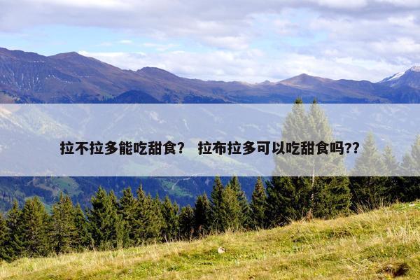 拉不拉多能吃甜食？ 拉布拉多可以吃甜食吗?？