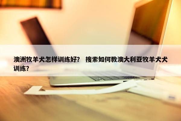 澳洲牧羊犬怎样训练好？ 搜索如何教澳大利亚牧羊犬犬训练？
