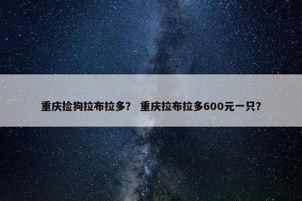 重庆捡狗拉布拉多？ 重庆拉布拉多600元一只？