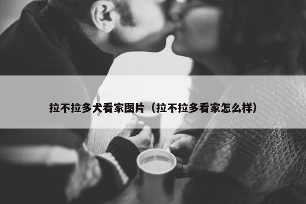 拉不拉多犬看家图片（拉不拉多看家怎么样）
