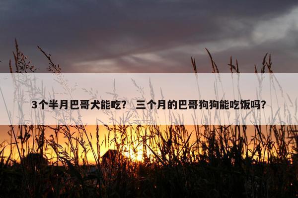 3个半月巴哥犬能吃？ 三个月的巴哥狗狗能吃饭吗？