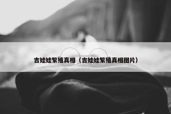 吉娃娃繁殖真相（吉娃娃繁殖真相图片）