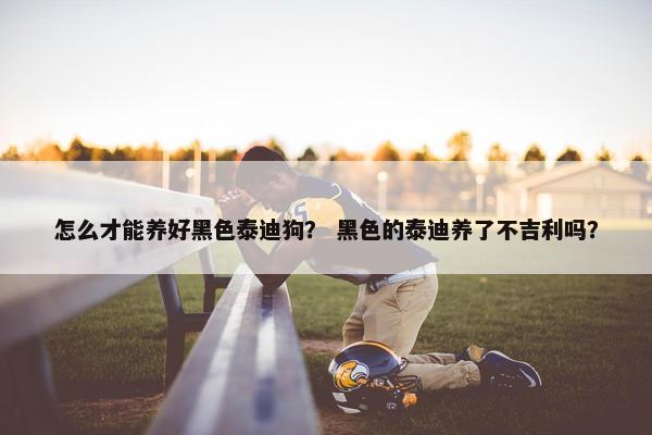 怎么才能养好黑色泰迪狗？ 黑色的泰迪养了不吉利吗？