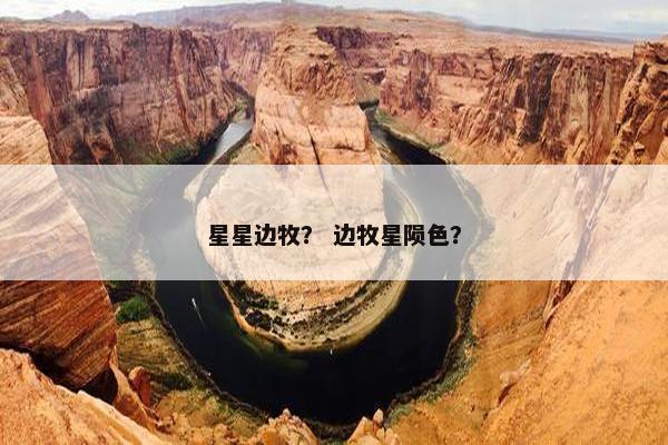 星星边牧？ 边牧星陨色？