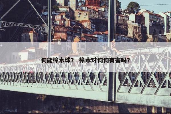 狗能樟木球？ 樟木对狗狗有害吗？