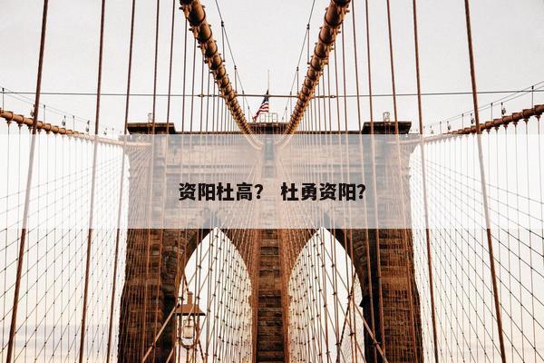 资阳杜高？ 杜勇资阳？
