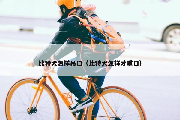比特犬怎样吊口（比特犬怎样才重口）