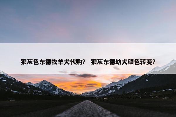 狼灰色东德牧羊犬代购？ 狼灰东德幼犬颜色转变？