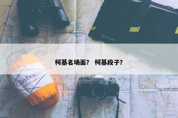 柯基名场面？ 柯基段子？