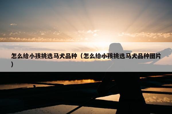 怎么给小孩挑选马犬品种（怎么给小孩挑选马犬品种图片）
