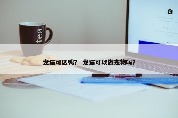 龙猫可达鸭？ 龙猫可以做宠物吗？