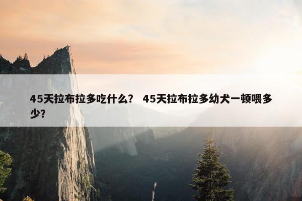 45天拉布拉多吃什么？ 45天拉布拉多幼犬一顿喂多少？