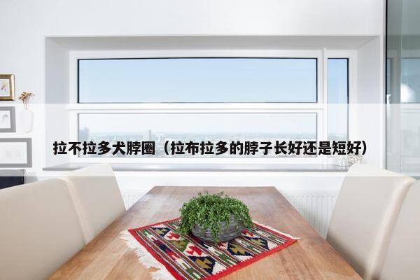 拉不拉多犬脖圈（拉布拉多的脖子长好还是短好）