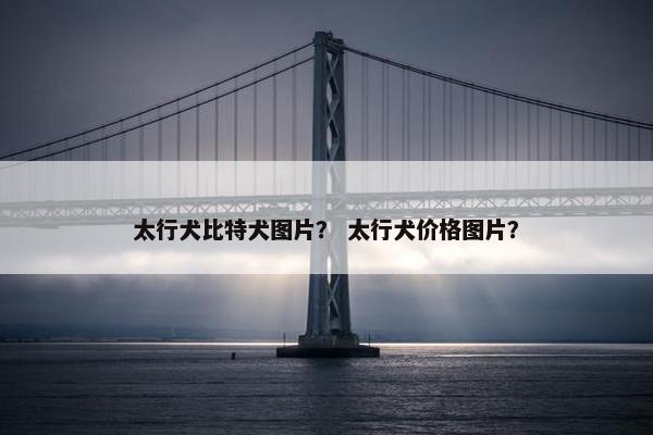 太行犬比特犬图片？ 太行犬价格图片？