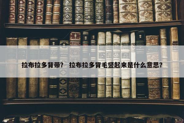 拉布拉多背带？ 拉布拉多背毛竖起来是什么意思？