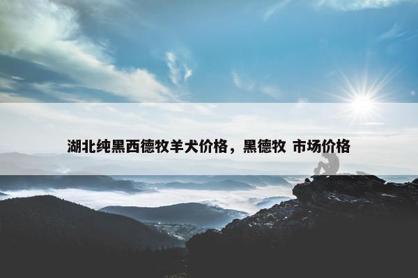 湖北纯黑西德牧羊犬价格，黑德牧 市场价格