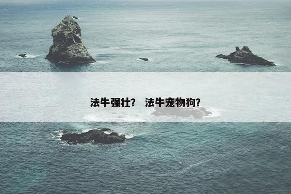 法牛强壮？ 法牛宠物狗？