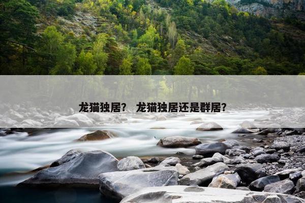 龙猫独居？ 龙猫独居还是群居？