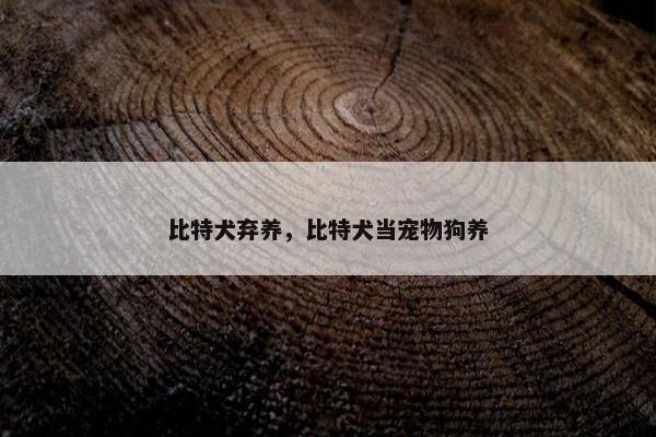 比特犬弃养，比特犬当宠物狗养