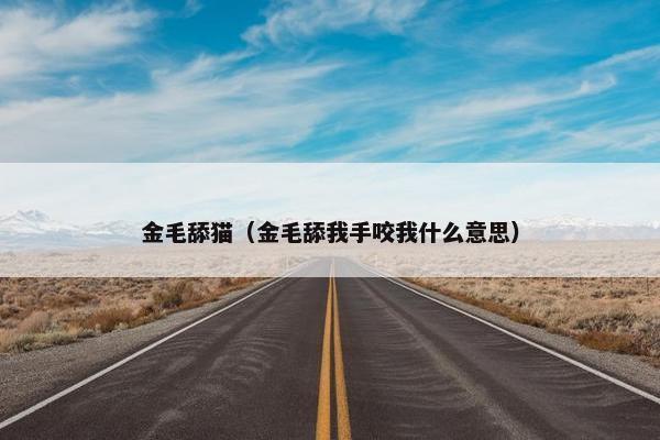 金毛舔猫（金毛舔我手咬我什么意思）
