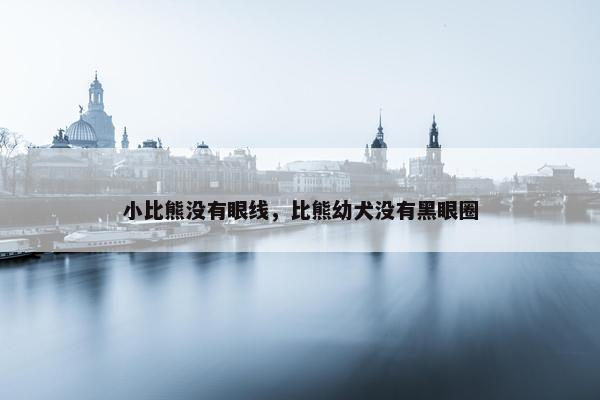 小比熊没有眼线，比熊幼犬没有黑眼圈
