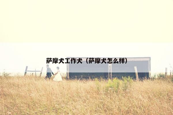 萨摩犬工作犬（萨摩犬怎么样）
