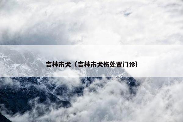吉林市犬（吉林市犬伤处置门诊）