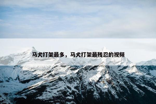 马犬打架最多，马犬打架最残忍的视频